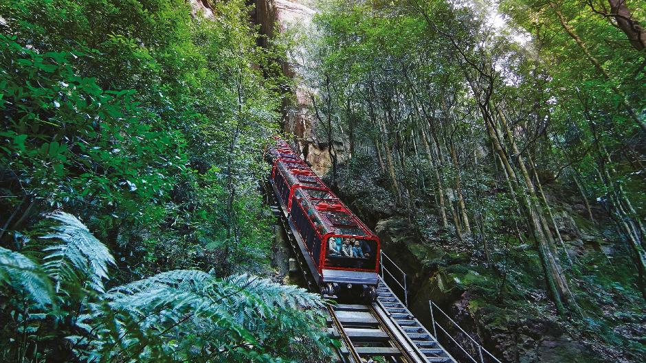 One of three thrilling Scenic World Rides